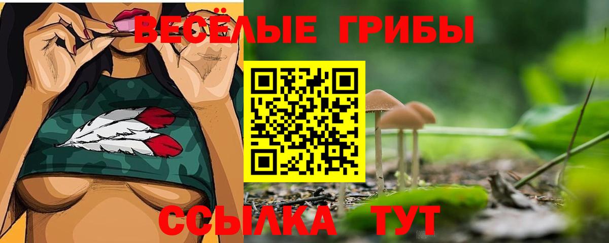 Псилоцибиновые грибы мицелий  Вход с VPN  Орёл 